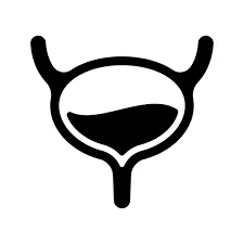 Optimal Bladder Control and Pelvic Floor Support Icon